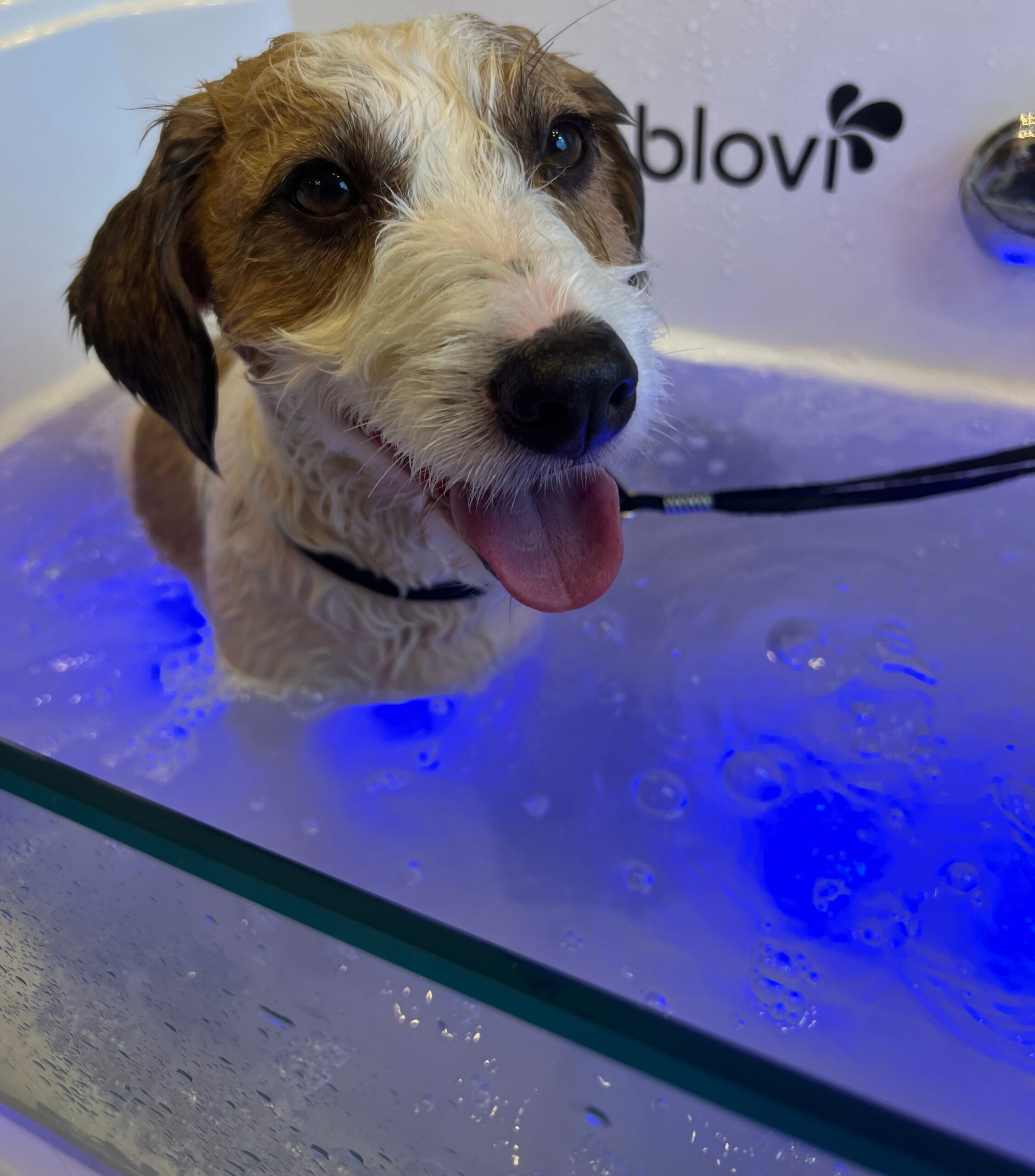 Розслаблюючі ванни